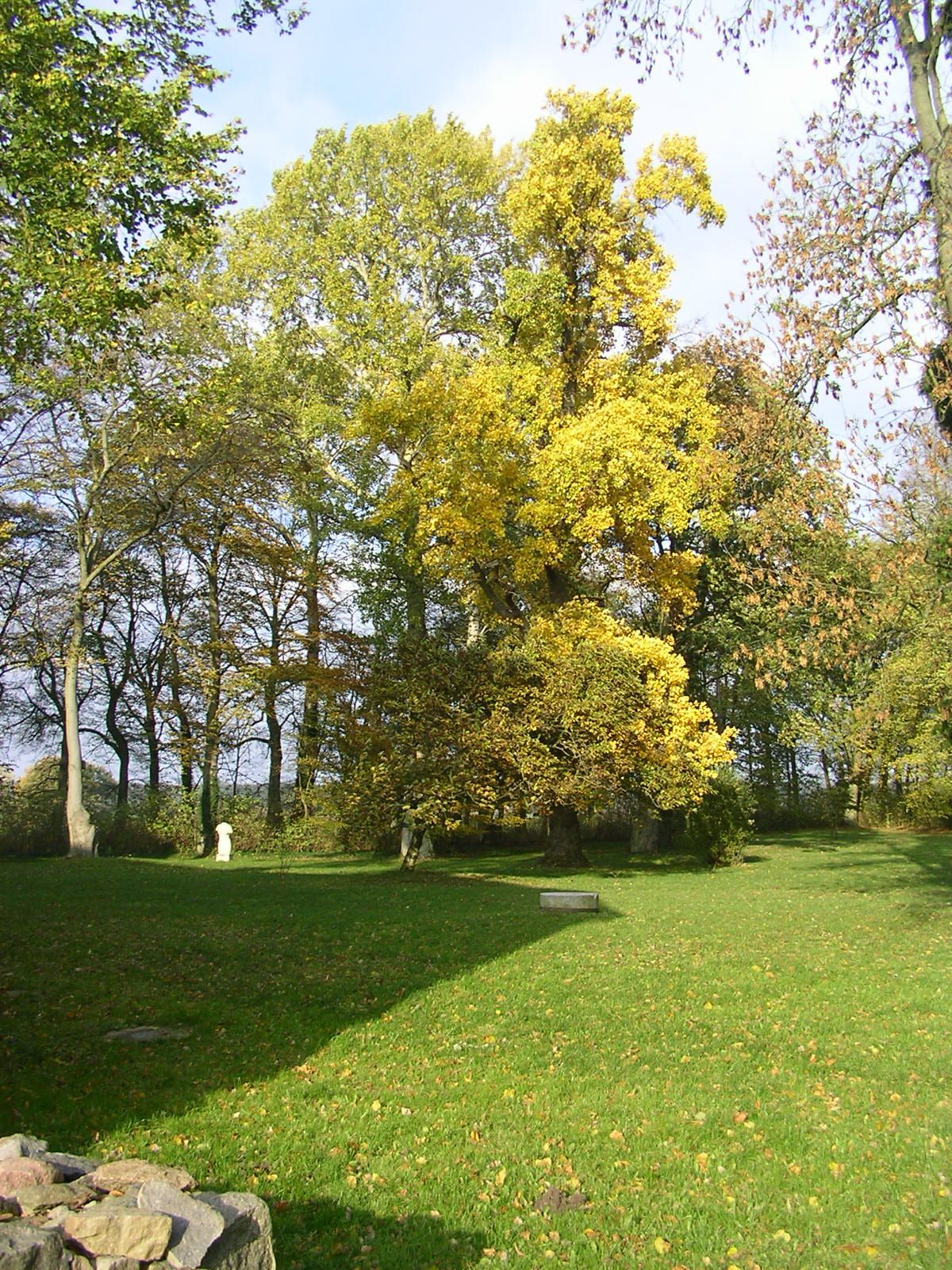 images/yootheme/Orte/Schmatzin/Park Wolfradshof.jpg