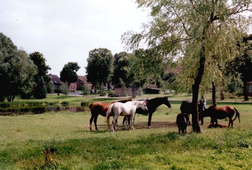 images/yootheme/Orte/Gross Polzin/k-Quilow.jpg