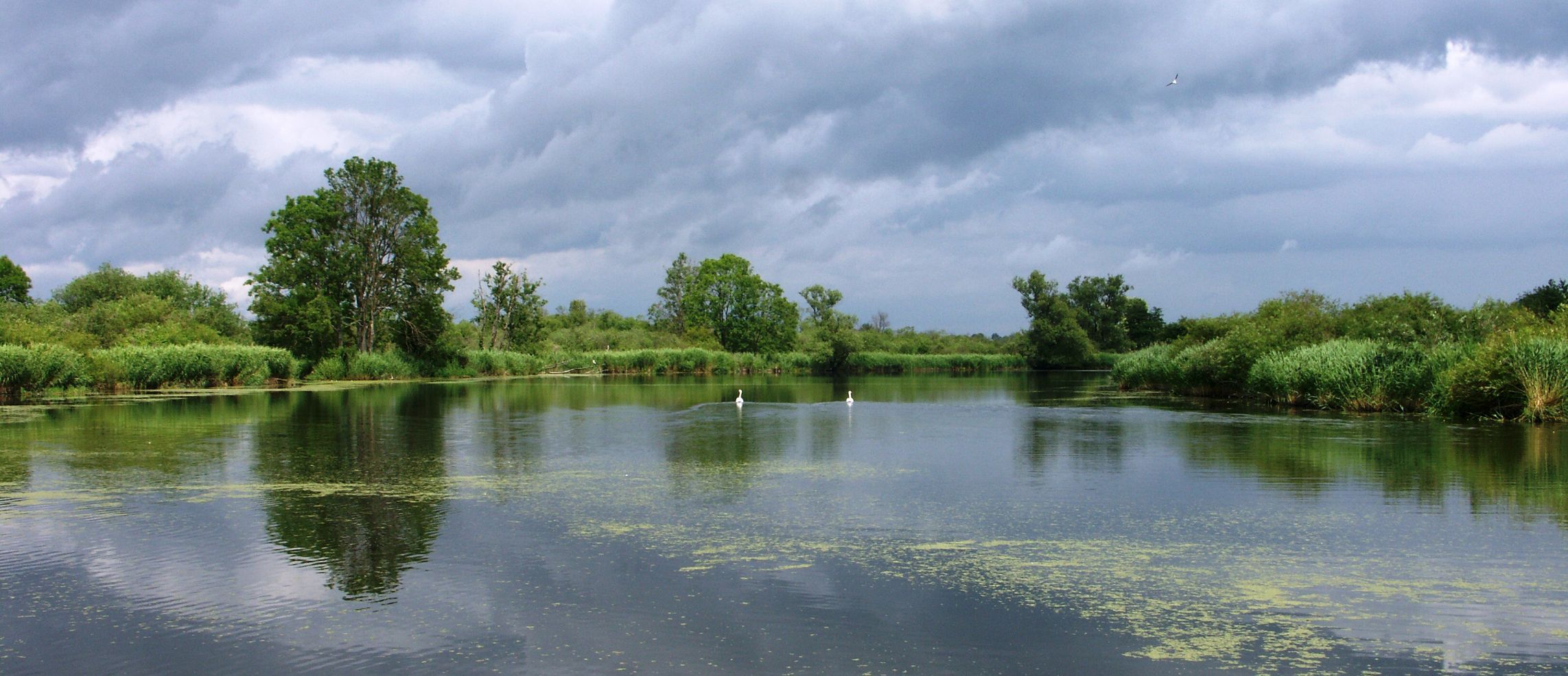 images/yootheme/Orte/Loitz/k-Amazonas des Nordens.jpg