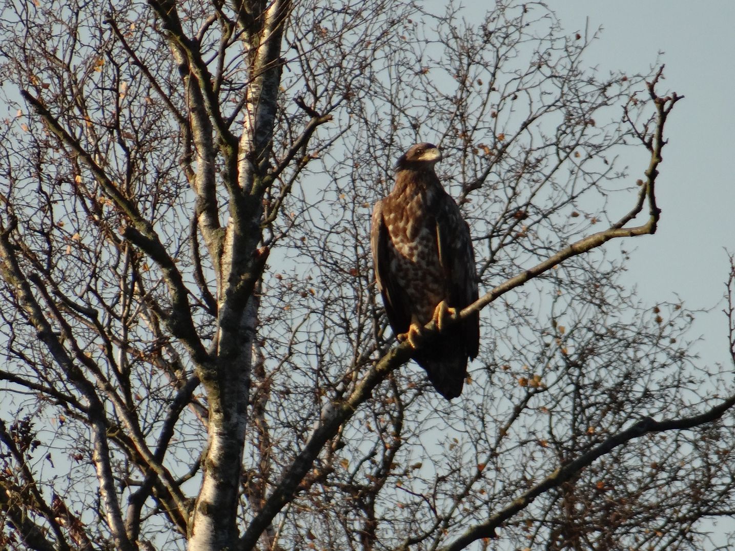 images/anbieter/gutshof_liepen/gutshof_liepen_galerie/k-Umgebung 5.jpg